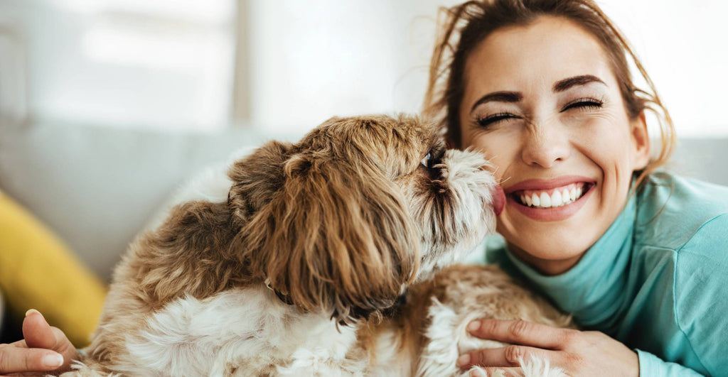 Comprehensive Pet Care Tips: Nurturing Your Furry Friend's Well-Being